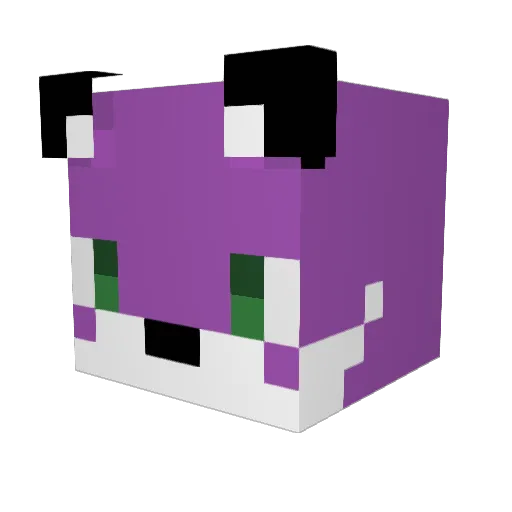 OddTaidum Minecraft avatar head, 3D render