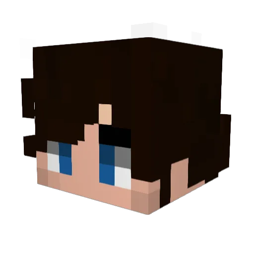 Oddball1212357 Minecraft avatar head, 3D render