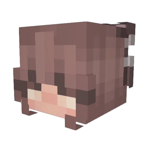 Oddfry_audrey Minecraft avatar head, 3D render