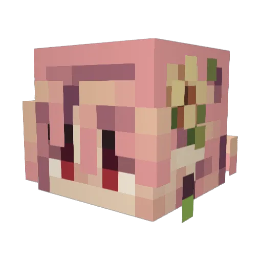 OddlyOphelia Minecraft avatar head, 3D render