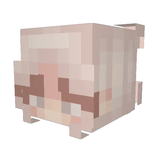 Oddnoun Minecraft avatar head, 3D render