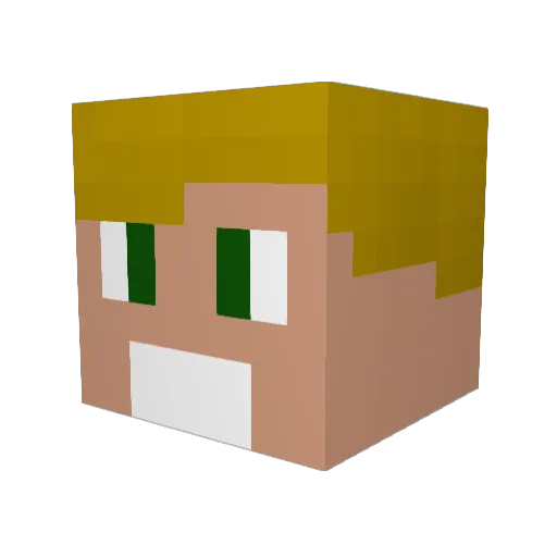 OdeioPetistaa Minecraft avatar head, 3D render