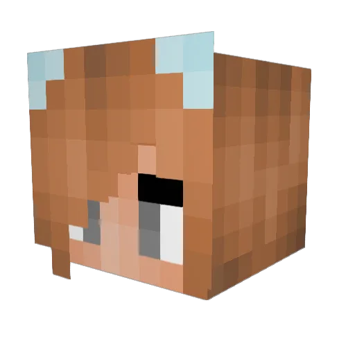 Odetta_ Minecraft avatar head, 3D render