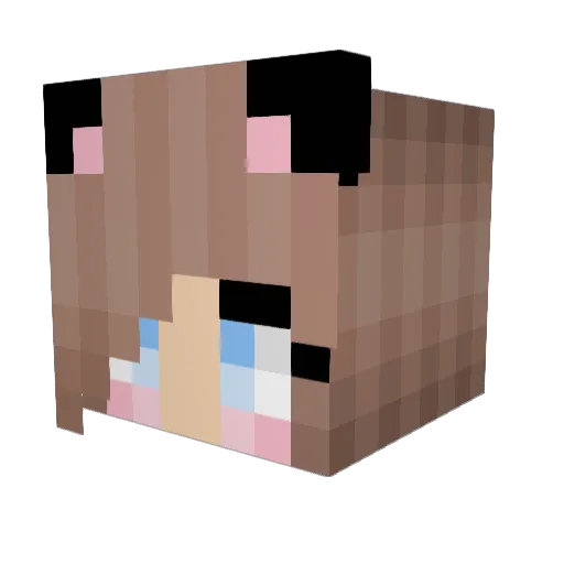 Odin13 Minecraft avatar head, 3D render