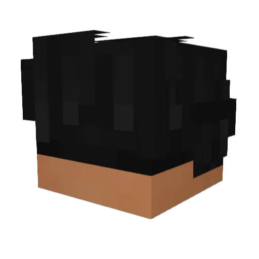 Odin9346 Minecraft avatar head, 3D render