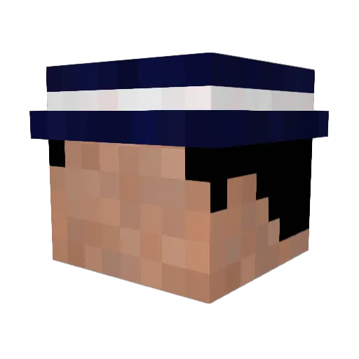 OdinCipher Minecraft avatar head, 3D render