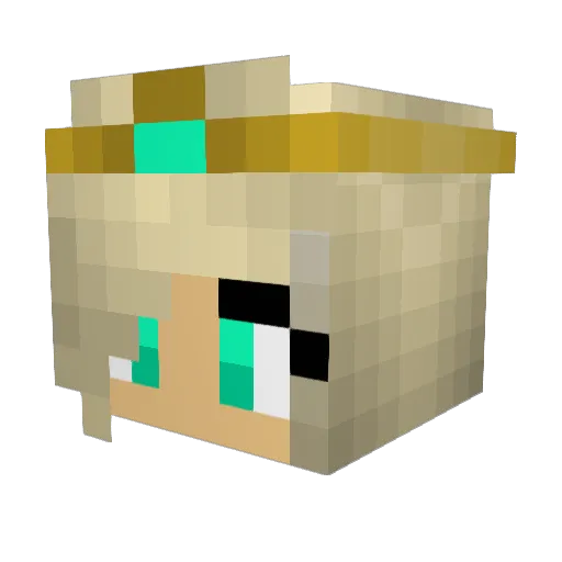 Odinfury123 Minecraft avatar head, 3D render