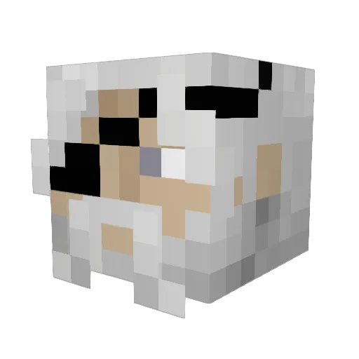 Odinn_Borson Minecraft avatar head, 3D render
