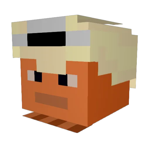 Odog118 Minecraft avatar head, 3D render