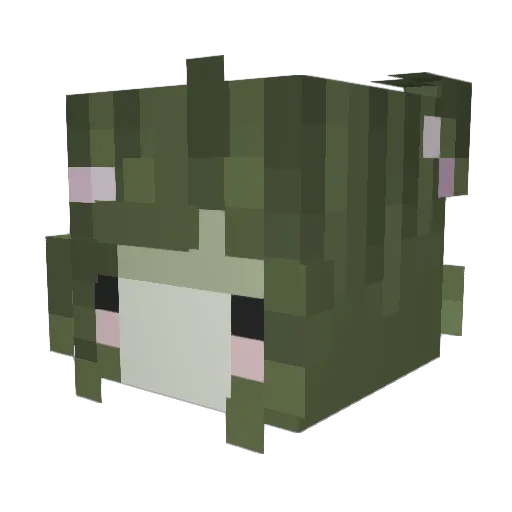 OdraudeBackwards Minecraft avatar head, 3D render