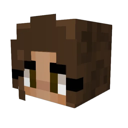 Oecelot Minecraft avatar head, 3D render