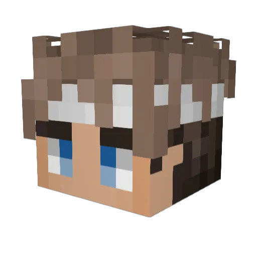 Oedo_ Minecraft avatar head, 3D render