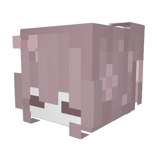 Oeinier Minecraft avatar head, 3D render