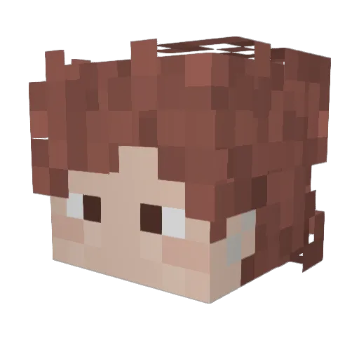 Oelwerd Minecraft avatar head, 3D render