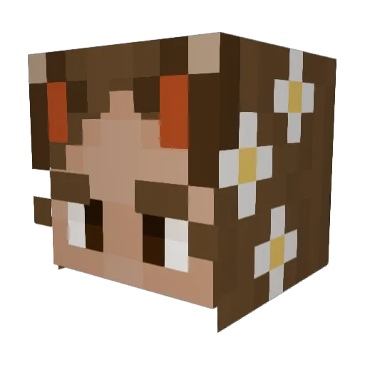 Oemky Minecraft avatar head, 3D render