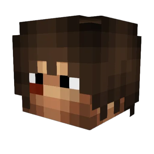 Oestreicher Minecraft avatar head, 3D render