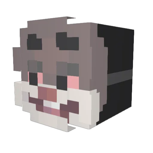 Oesuv2 Minecraft avatar head, 3D render