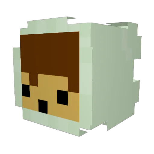 OffBrand0reo Minecraft avatar head, 3D render