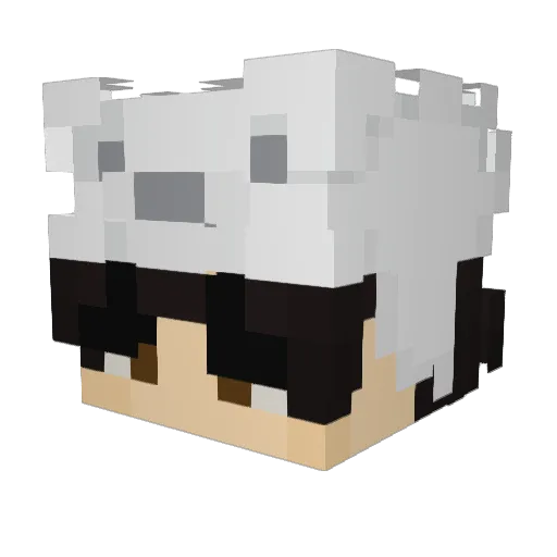 OffTheHook9876 Minecraft avatar head, 3D render