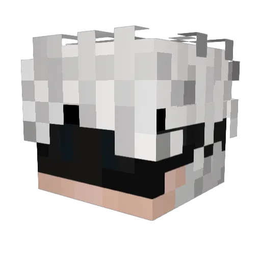 Offel Minecraft avatar head, 3D render