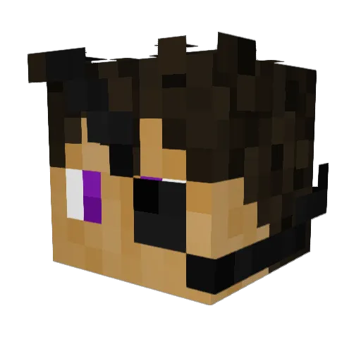 OfficerKilo Minecraft avatar head, 3D render