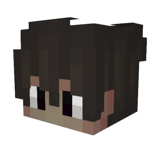 OfficialBidgey Minecraft avatar head, 3D render
