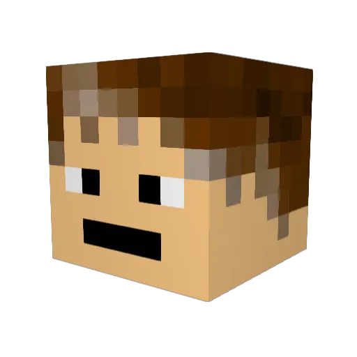 OfficialPunGuy Minecraft avatar head, 3D render