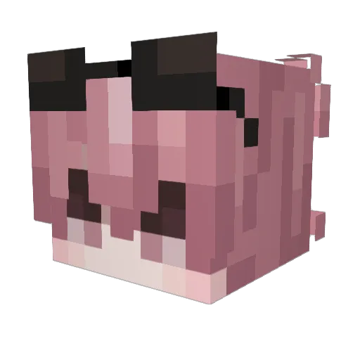 OfficialShadowYT Minecraft avatar head, 3D render