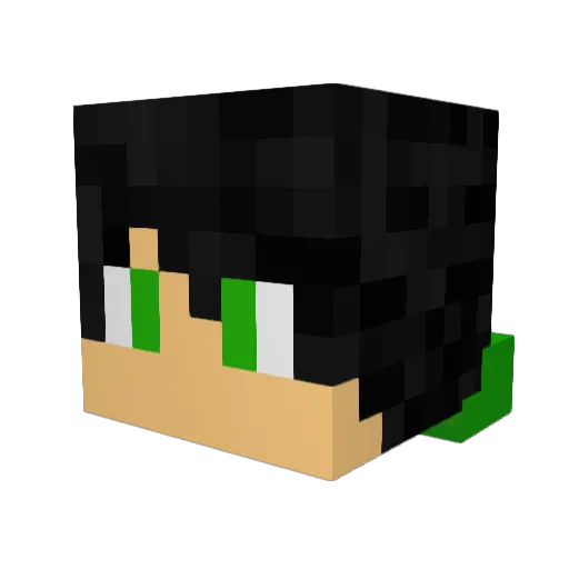 OfficialXetro Minecraft avatar head, 3D render