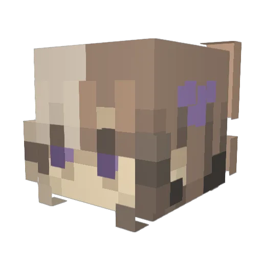 Official_3wheel Minecraft avatar head, 3D render