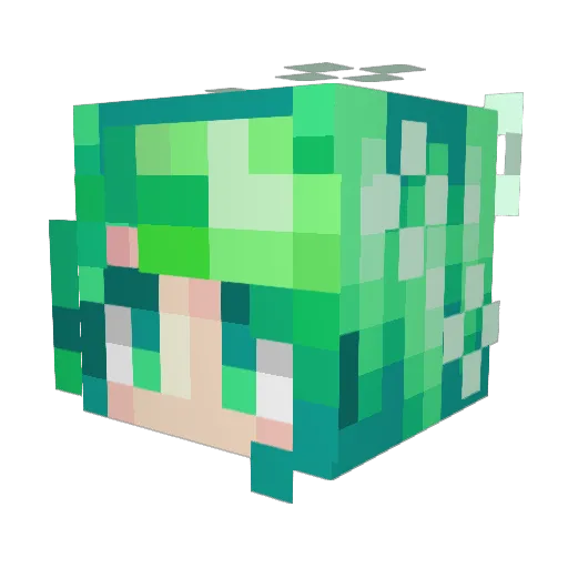Official_Cc Minecraft avatar head, 3D render