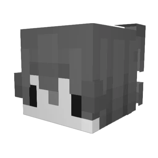 Officialp001469 Minecraft avatar head, 3D render