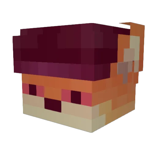OfflineFox Minecraft avatar head, 3D render