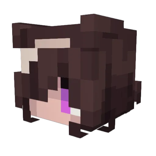 OfflineIsNotFun Minecraft avatar head, 3D render