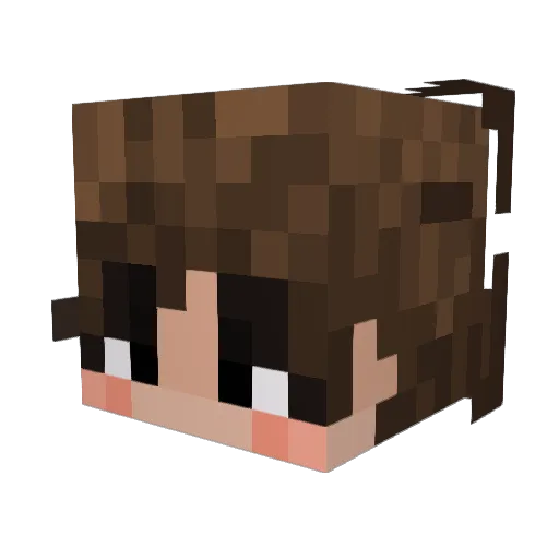 OfirTak Minecraft avatar head, 3D render