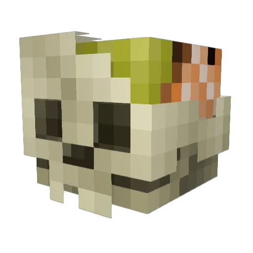 OgarTheAlive Minecraft avatar head, 3D render