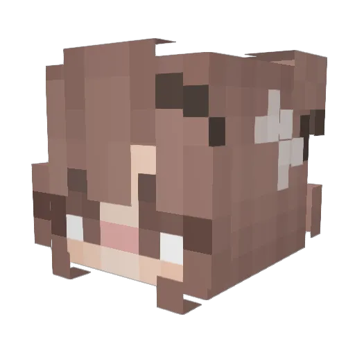 Ogasaki Minecraft avatar head, 3D render