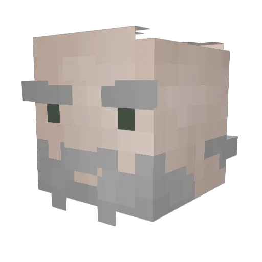 OgerSchwanz Minecraft avatar head, 3D render