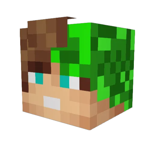 Oggli634 Minecraft avatar head, 3D render