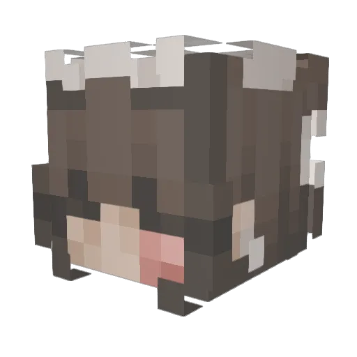 Oggy175 Minecraft avatar head, 3D render