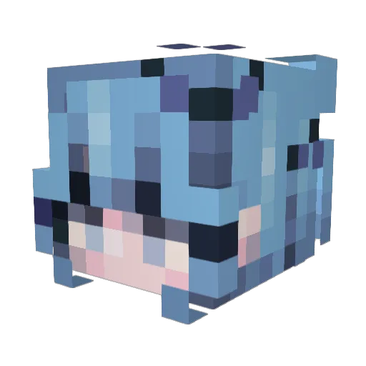 Ogorekk Minecraft avatar head, 3D render
