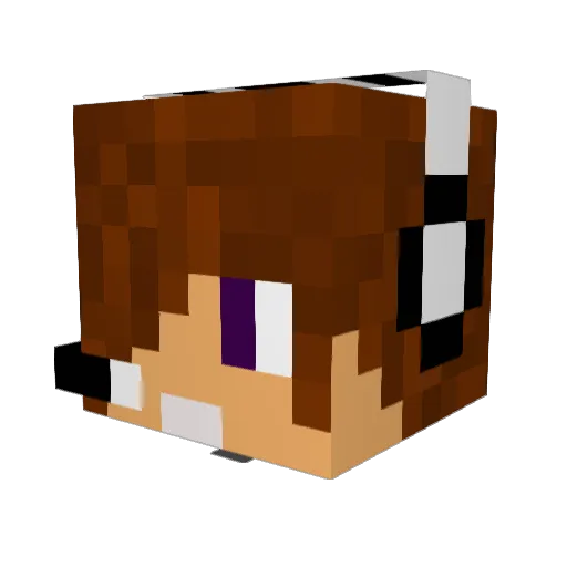 OguzWinchester Minecraft avatar head, 3D render