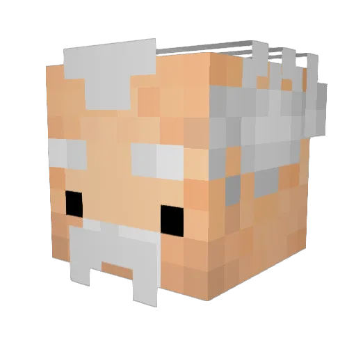 Ogyeopsal Minecraft avatar head, 3D render