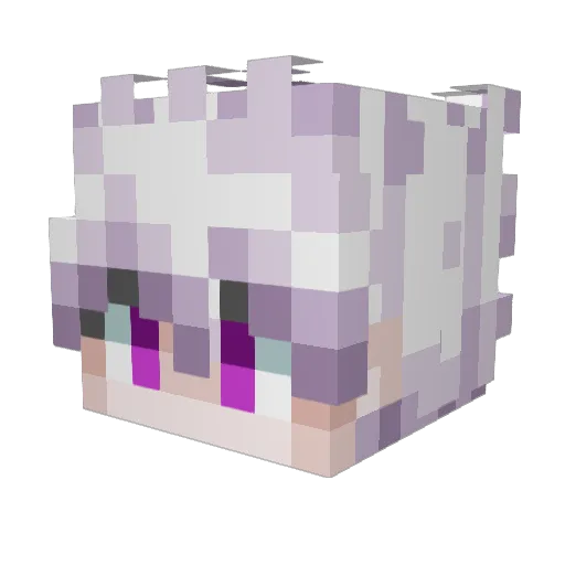 Ogzhn_ Minecraft avatar head, 3D render