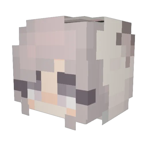 OhBlueyJr Minecraft avatar head, 3D render