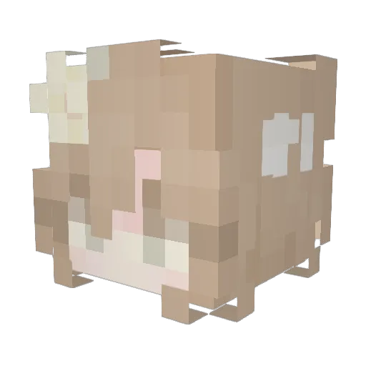 OhLenaa Minecraft avatar head, 3D render