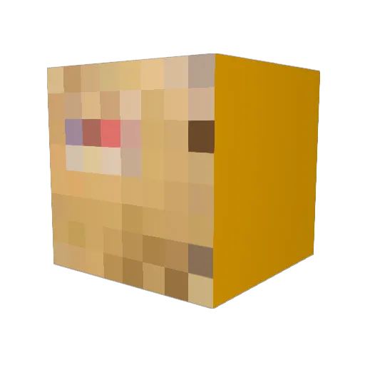 OhMist_ Minecraft avatar head, 3D render