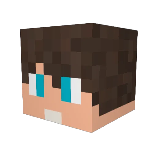 OhZeroxYtb Minecraft avatar head, 3D render