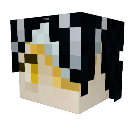 Oh__Worm Minecraft avatar head, 3D render