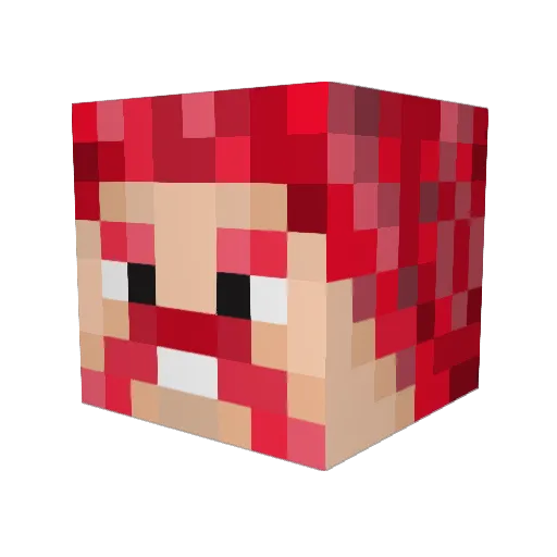 Ohazashu Minecraft avatar head, 3D render